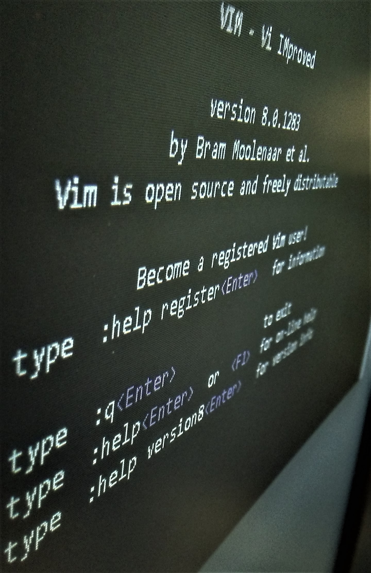 Vim text editor picture.